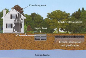 Elitte Septic Tank - septic system